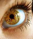 Oeil